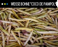 Le Coco paimpolais
